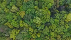 Pro Power Concentrated Probiotic Tank Treatment 500ml