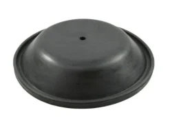 SP81  - REPLACEMENT DIAPHRAGM FOR RWB2202 PUMP